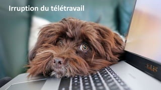 Irruption du télétravail
 