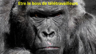 Etre le boss de télétravailleurs
 