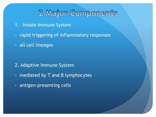 1. Innate Immune System
- rapid triggering of inflammatory responses
- all cell lineages
2. Adaptive Immune System
- mediated by T and B lymphocytes
- antigen-presenting cells
 