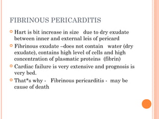 FIBRINOUS PERICARDITIS 
 Hart is bit increase in size due to dry exudate 
between inner and external leis of pericard 
 Fibrinous exudate –does not contain water (dry 
exudate), contains high level of cells and high 
concentration of plasmatic proteins (fibrin) 
 Cardiac failure is very extensive and prognosis is 
very bed. 
 That*s why - Fibrinous pericarditis - may be 
cause of death 
 