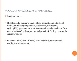 NODULAR PRODUCTIVE MYOCARDITIS 
 Moderate form 
 Histologically can see systemic blood congestion in interstitial 
tissue, infiltration(lymphocytes, histiocytes, neutrophils, 
eosinophils), granulomas in stroma around vessels, moderate focal 
degeneration of cardiomyocytes and protein & fat degeneration in 
cardiomyocytes. 
 Outcome: mild(small diffused) cardiosclerosis, restoration of 
cardiomyocytes structure. 
 