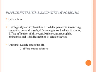 DIFFUSE INTERSTITIAL EXUDATIVE MYOCARDITIS 
 Severe form 
 Histologically can see formation of nodular granuloma surrounding 
connective tissue of vessels, diffuse congestion & edema in stroma, 
diffuse infiltration of histiocytes, lymphocytes, neutrophils, 
eosinophils, and local degeneration of cardiomyocytes. 
 Outcome: 1. acute cardiac failure 
2. diffuse cardiac sclerosis 
 