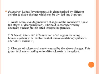  Pathology: Lupus Erythrematosus is characterized by different 
cellular & tissue changes which can be divided into 5 groups: 
1. Acute necrotic & degenerative changes of the connective tissue 
(all stages of deorganization). Fibrinoid is characterized by 
abundant nuclear protein arted chromatin granules. 
2. Subacute interstitial inflammation of all organs including 
bervous system with involvement of microcirculation(capillaritis, 
arteriolitis, vasculitis) 
3. Changes of sclerotic character caused by the above changes. This 
group is characterized by onion-like sclerosis in the spleen. 
 