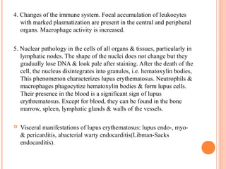 4. Changes of the immune system. Focal accumulation of leukocytes 
with marked plasmatization are present in the central and peripheral 
organs. Macrophage activity is increased. 
5. Nuclear pathology in the cells of all organs & tissues, particularly in 
lymphatic nodes. The shape of the nuclei does not change but they 
gradually lose DNA & look pale after staining. After the death of the 
cell, the nucleus disintegrates into granules, i.e. hematoxylin bodies, 
This phenomenon characterizes lupus erythematosus. Neutrophils & 
macrophages phagocytize hematoxylin bodies & form lupus cells. 
Their presence in the blood is a significant sign of lupus 
erythrematosus. Except for blood, they can be found in the bone 
marrow, spleen, lymphatic glands & walls of the vessels. 
 Visceral manifestations of lupus erythematosus: lupus endo-, myo- 
& pericarditis, abacterial warty endocarditis(Libman-Sacks 
endocarditis). 
 