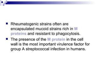  Rheumatogenic strains often are
encapsulated mucoid strains rich in M
proteins and resistant to phagocytosis.
 The presence of the M protein in the cell
wall is the most important virulence factor for
group A streptococcal infection in humans.
 