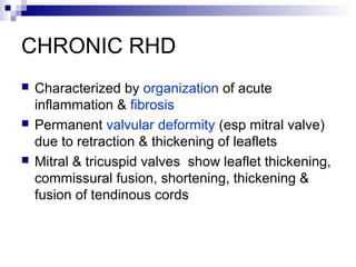 CHRONIC RHD
 Characterized by organization of acute
inflammation & fibrosis
 Permanent valvular deformity (esp mitral valve)
due to retraction & thickening of leaflets
 Mitral & tricuspid valves show leaflet thickening,
commissural fusion, shortening, thickening &
fusion of tendinous cords
 