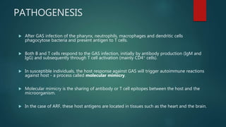 PATHOGENESIS
 After GAS infection of the pharynx, neutrophils, macrophages and dendritic cells
phagocytose bacteria and present antigen to T cells.
 Both B and T cells respond to the GAS infection, initially by antibody production (IgM and
IgG) and subsequently through T cell activation (mainly CD4+ cells).
 In susceptible individuals, the host response against GAS will trigger autoimmune reactions
against host - a process called molecular mimicry.
 Molecular mimicry is the sharing of antibody or T cell epitopes between the host and the
microorganism.
 In the case of ARF, these host antigens are located in tissues such as the heart and the brain.
 