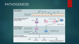 PATHOGENESIS
 