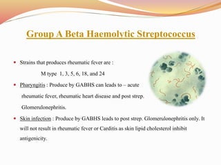 Group A Beta Haemolytic Streptococcus
 Strains that produces rheumatic fever are :
M type 1, 3, 5, 6, 18, and 24
 Pharyngitis : Produce by GABHS can leads to – acute
rheumatic fever, rheumatic heart disease and post strep.
Glomerulonephritis.
 Skin infection : Produce by GABHS leads to post strep. Glomerulonephritis only. It
will not result in rheumatic fever or Carditis as skin lipid cholesterol inhibit
antigenicity.
 