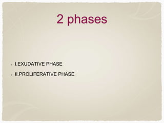 2 phases
I.EXUDATIVE PHASE
II.PROLIFERATIVE PHASE
 