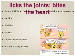 licks the joints; bites
the heart• Acute ARF is an immuno-inflammatory condition that presents as
• carditis
• Arthritis
• chorea
• subcutaneous nodules
• erythema marginatum
 