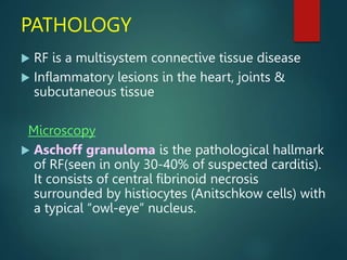 PATHOLOGY
 RF is a multisystem connective tissue disease
 Inflammatory lesions in the heart, joints &
subcutaneous tissue
Microscopy
 Aschoff granuloma is the pathological hallmark
of RF(seen in only 30-40% of suspected carditis).
It consists of central fibrinoid necrosis
surrounded by histiocytes (Anitschkow cells) with
a typical “owl-eye” nucleus.
 