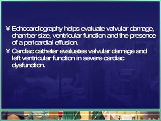 Echocardiography helps evaluate valvular damage, chamber size, ventricular function and the presence of a pericardial effusion. Cardiac catheter evaluates valvular damage and left ventricular function in severe cardiac dysfunction. 