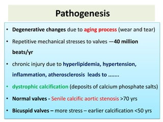 Pathogenesis
• Degenerative changes due to aging process (wear and tear)
• Repetitive mechanical stresses to valves —40 million
beats/yr
• chronic injury due to hyperlipidemia, hypertension,
inflammation, atherosclerosis leads to .......

• dystrophic calcification (deposits of calcium phosphate salts)
• Normal valves - Senile calcific aortic stenosis >70 yrs

• Bicuspid valves – more stress – earlier calcification <50 yrs

 