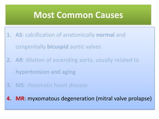 Most Common Causes
1. AS: calcification of anatomically normal and
congenitally bicuspid aortic valves
2. AR: dilation of ascending aorta, usually related to
hypertension and aging

3. MS: rheumatic heart disease
4. MR: myxomatous degeneration (mitral valve prolapse)

 