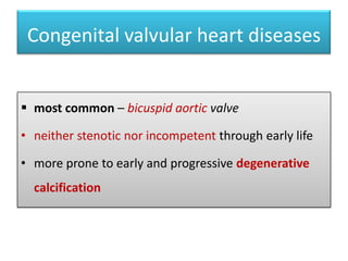 Congenital valvular heart diseases
 most common – bicuspid aortic valve
• neither stenotic nor incompetent through early life
• more prone to early and progressive degenerative
calcification

 