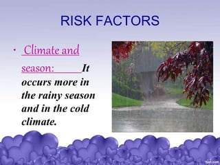 RISK FACTORS
• Climate and
season: It
occurs more in
the rainy season
and in the cold
climate.
 