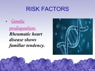 RISK FACTORS
• Genetic
predisposition:
Rheumatic heart
disease shows
familiar tendency.
 