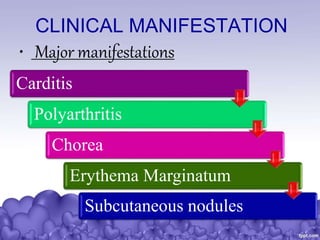 CLINICAL MANIFESTATION
• Major manifestations
Carditis
Polyarthritis
Chorea
Erythema Marginatum
Subcutaneous nodules
 