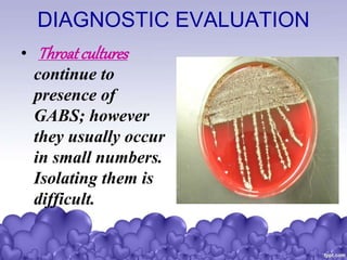 DIAGNOSTIC EVALUATION
• Throatcultures
continue to
presence of
GABS; however
they usually occur
in small numbers.
Isolating them is
difficult.
 