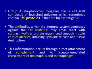 • Group A streptococcus pyogenes has a cell wall
composed of branched polymers which sometimes
contain "M proteins " that are highly antigenic
• The antibodies which the immune system generates
against the "M proteins" may cross react with
cardiac myofiber protein myosin and smooth muscle
cells of arteries, inducing cytokine release and tissue
destruction
• This inflammation occurs through direct attachment
of complement and Fc receptor-mediated
recruitment of neutrophils and macrophages
 