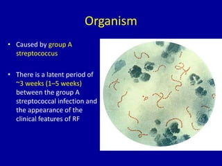 Organism
• Caused by group A
streptococcus
• There is a latent period of
~3 weeks (1–5 weeks)
between the group A
streptococcal infection and
the appearance of the
clinical features of RF
 