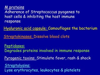 M proteins
Adherence of Streptococcus pyogenes to
host cells & inhibiting the host immune
response
Hyaluronic acid capsule: Camouflages the bacterium
Streptokinases: Dissolve blood clots
Peptidases:
Degrades proteins involved in immune response
Pyrogenic toxins: Stimulate fever, rash & shock
Streptolysins:
Lyse erythrocytes, leukocytes & platelets
 