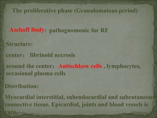The proliferative phase (Granulomatous period)
Aschoff Body:
Structure:
center： fibrinoid necrosis
around the center：Anitschkow cells , lymphocytes,
occasional plasma cells
Distribution:
Myocardial interstitial, subendocardial and subcutaneous
connective tissue. Epicardial, joints and blood vessels is
rare.
pathognomonic for RF
 