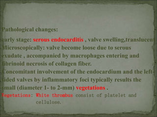 Pathological changes:
early stage: serous endocarditis , valve swelling,translucent
Microscopically: valve become loose due to serous
exudate , accompanied by macrophages entering and
fibrinoid necrosis of collagen fiber.
Concomitant involvement of the endocardium and the left-
sided valves by inflammatory foci typically results the
small (diameter 1- to 2-mm) vegetations .
Vegetations: White thrombus consist of platelet and
cellulose.
 
