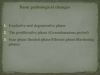 Basic pathological changes
1. Exudative and degenerative phase
2. The proliferative phase (Granulomatous period)
3. Scar phase (healed phaseFibrosis phaseHardening
phase)
 