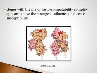  Genes with the major histo-compatability complex 
appear to have the strongest influence on disease 
susceptibility. 
www.rcsb.org 
 