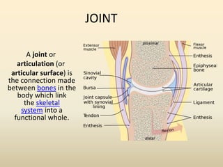 Rheumatoid arthritis | PPTX