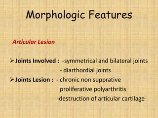 Morphologic Features
Articular Lesion
Joints Involved : -symmetrical and bilateral joints
- diarthordial joints
Joints Lesion : - chronic non supprative
proliferative polyarthritis
-destruction of articular cartilage
 