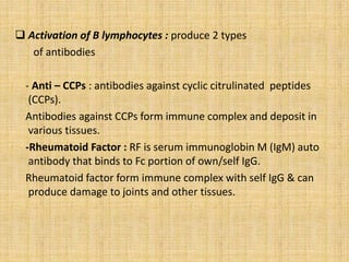  Activation of B lymphocytes : produce 2 types
of antibodies
- Anti – CCPs : antibodies against cyclic citrulinated peptides
(CCPs).
Antibodies against CCPs form immune complex and deposit in
various tissues.
-Rheumatoid Factor : RF is serum immunoglobin M (IgM) auto
antibody that binds to Fc portion of own/self IgG.
Rheumatoid factor form immune complex with self IgG & can
produce damage to joints and other tissues.
 