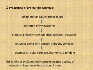  Production of proteolytic enzymes:
inflammation causes tissue injury
activaton of synoviocytes
produce proteolytic enzyme(collagenase , elastase)
enzymes along with antigen antibody complex
destroys articular cartilage, ligaments & tendons
TNF family of cytokines may cause increased activity of
osteoclast & produce destruction of bone
 