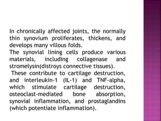 In chronically affected joints, the normally
thin synovium proliferates, thickens, and
develops many villous folds.
The synovial lining cells produce various
materials, including collagenase and
stromelysin(distroys connective tissues).
These contribute to cartilage destruction,
and interleukin-1 (IL-1) and TNF-alpha,
which stimulate cartilage destruction,
osteoclast-mediated bone absorption,
synovial inflammation, and prostaglandins
(which potentiate inflammation).
 