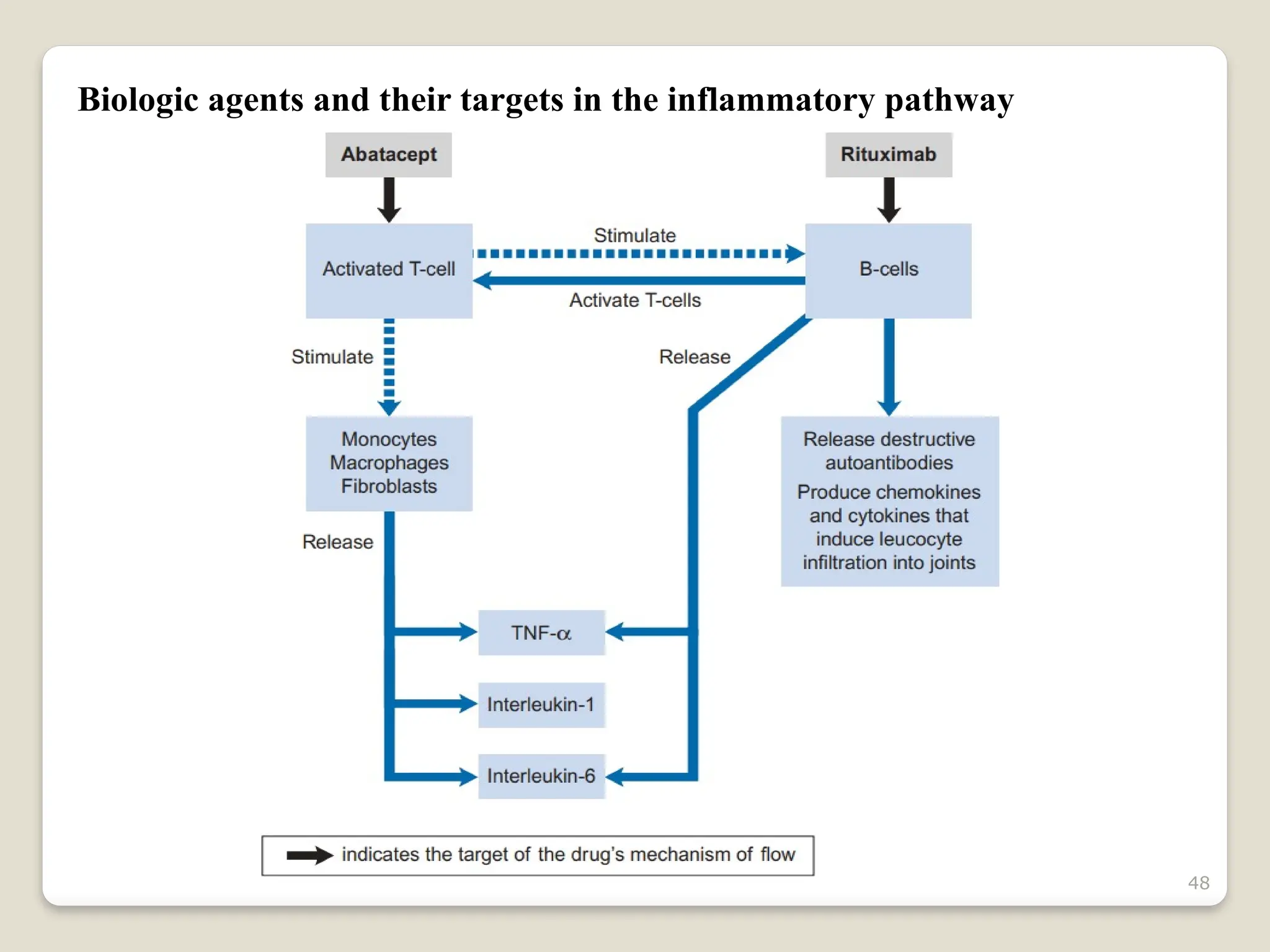 48
Biologic agents and their targets in the inflammatory pathway
 