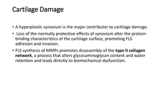 Cartilage Damage
• A hyperplastic synovium is the major contributor to cartilage damage.
• Loss of the normally protective effects of synovium alter the protein-
binding characteristics of the cartilage surface, promoting FLS
adhesion and invasion.
• FLS synthesis of MMPs promotes disassembly of the type II collagen
network, a process that alters glycosaminoglycan content and water
retention and leads directly to biomechanical dysfunction.
 
