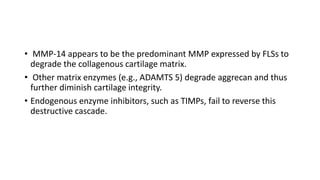 • MMP-14 appears to be the predominant MMP expressed by FLSs to
degrade the collagenous cartilage matrix.
• Other matrix enzymes (e.g., ADAMTS 5) degrade aggrecan and thus
further diminish cartilage integrity.
• Endogenous enzyme inhibitors, such as TIMPs, fail to reverse this
destructive cascade.
 