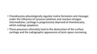 • Chondrocytes physiologically regulate matrix formation and cleavage:
under the influence of synovial cytokines and reactive nitrogen
intermediates, cartilage is progressively deprived of chondrocytes,
which undergo apoptosis.
• These processes ultimately lead to the destruction of the surface
cartilage and the radiographic appearance of joint-space narrowing.
 