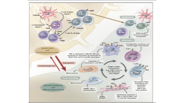 Rheumatoid arthritis arsenic