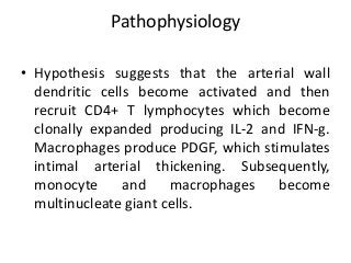 Pathophysiology
• Hypothesis suggests that the arterial wall
dendritic cells become activated and then
recruit CD4+ T lymphocytes which become
clonally expanded producing IL-2 and IFN-g.
Macrophages produce PDGF, which stimulates
intimal arterial thickening. Subsequently,
monocyte and macrophages become
multinucleate giant cells.
 