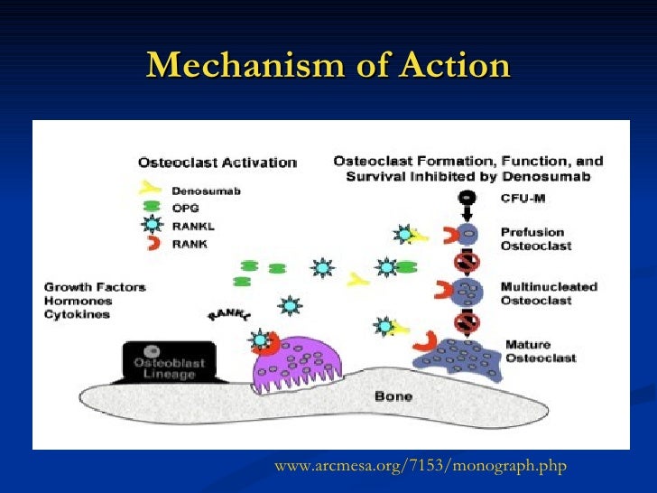 Rheumatology Highlights 2012