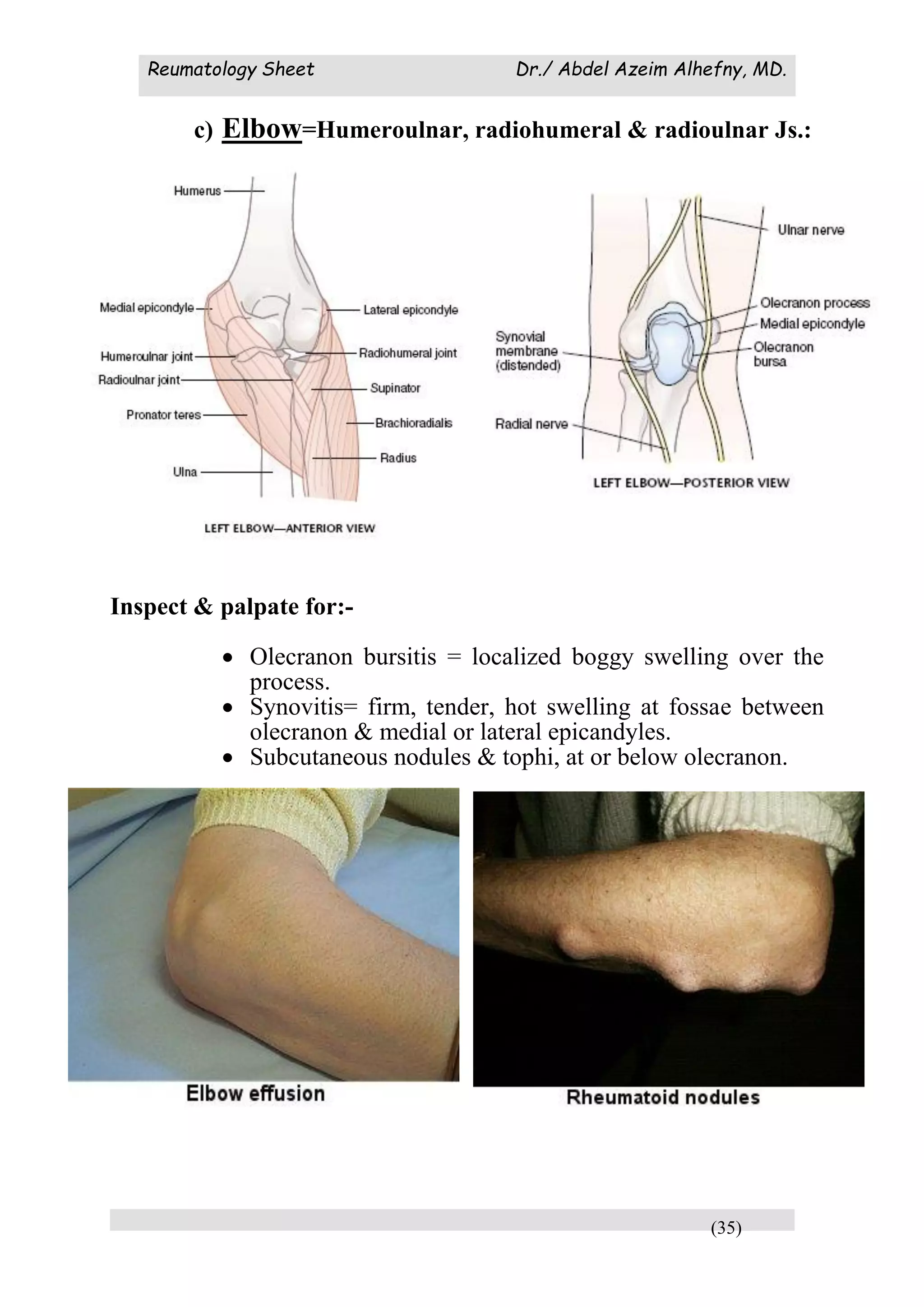 Sample Rheumatology Note Rheumatology sheet | PDF