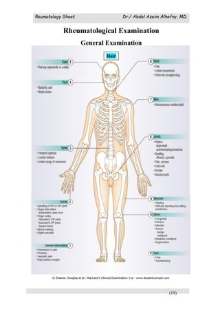 Reumatology Sheet Dr./ Abdel Azeim Alhefny, MD.
(19)
Rheumatological Examination
General Examination
Rheumatological Examination
Hair
 