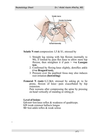 Reumatology Sheet Dr./ Abdel Azeim Alhefny, MD.
(47)
Sciatic N root compression: L5 & S1, stressed by
1. Straight leg raising with hip flexion (normally to
90), if limited by pain flex knee to allow more hip
flexion, then straighten it if pain = +ve Lasegue
test.
2. Confirmed by flexing knee slightly, dorsiflex ankle
(+ve Bragard test),
3. Pressure over the popliteal fossa may also induces
root irritation (bowstring)
Femoral N roots=L2,3&4, stressed by asking pt. to lie
prone, flexion of knee—pain exacerbated by hip
extension.
Pain worsens after compressing the spine by pressing
on head vertically of standing or sitting pt.
Level of lesion:
L4 root=lost knee reflex & weakness of quadriceps.
L5=weak extensor hallucis longus
S1=lost ankle reflex & weak soleus
.
 