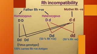 Blood Group Incompatibility: Rh Factor and Erythroblastosis Fetalis | PDF