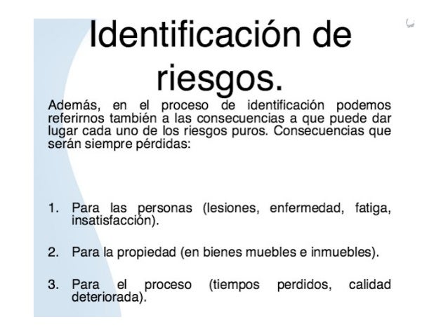 Rhii seguridad empresa