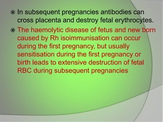  In subsequent pregnancies antibodies can
cross placenta and destroy fetal erythrocytes.
 The haemolytic disease of fetus and new born
caused by Rh isoimmunisation can occur
during the first pregnancy, but usually
sensitisation during the first pregnancy or
birth leads to extensive destruction of fetal
RBC during subsequent pregnancies
 