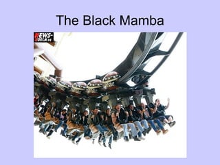 The Black Mamba 